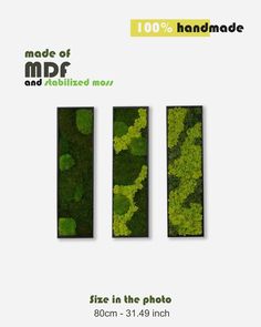 moss is displayed in three different sizes on the front and back of an advertisement for handmade