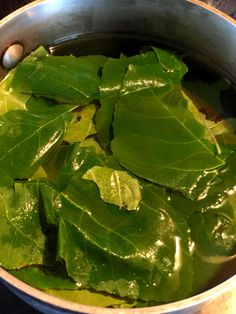 green leaves are in a silver pot on the stove top, ready to be cooked