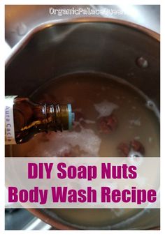 homemade diy soap nuts body wash recipe in a pot with text overlay that reads, diy soap nuts body wash recipe