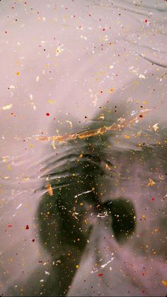 the reflection of a person's feet in water with confetti all over them