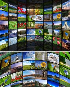 many different pictures are arranged in the shape of a television screen with flowers and trees on it