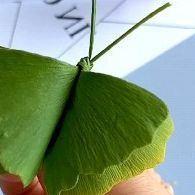 a close up of a person holding a green butterfly