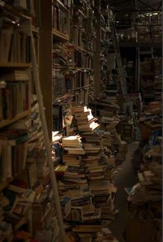 a room filled with lots of books on shelves