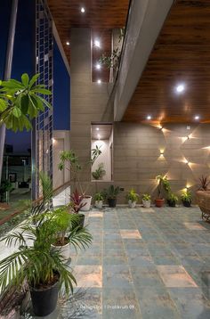 an indoor space with plants and lights on the ceiling is lit by recessed lighting