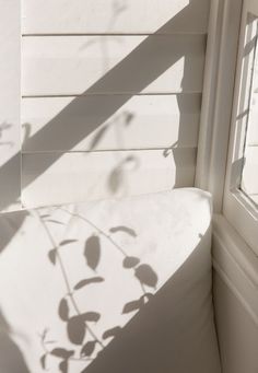 the shadow of a plant on a pillow