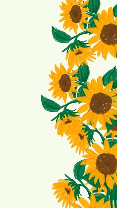 a bunch of yellow sunflowers with green leaves