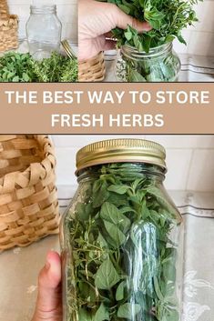 the best way to store fresh herbs