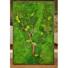 an aerial view of a tree with green moss growing on it