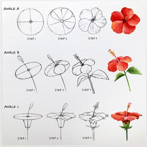 Tutorial - Flower Drawing and Painting for Beginners Trin For Trin Tegning, Seni Mural, Flower Drawing Tutorials, Seni Dan Kraf, Flower Art Drawing, Flower Sketches, Seni Cat Air, Floral Drawing, Watercolor Flower Art