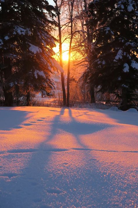 Snow Nature Photography, Snow And Sunset, Nature Photography Snow, Sunsets In Winter, Landscape Snow Photography, Winter Sun Aesthetic, Beautiful Snow Scenes, Snow Landscape Photography, Winter Nature Photography