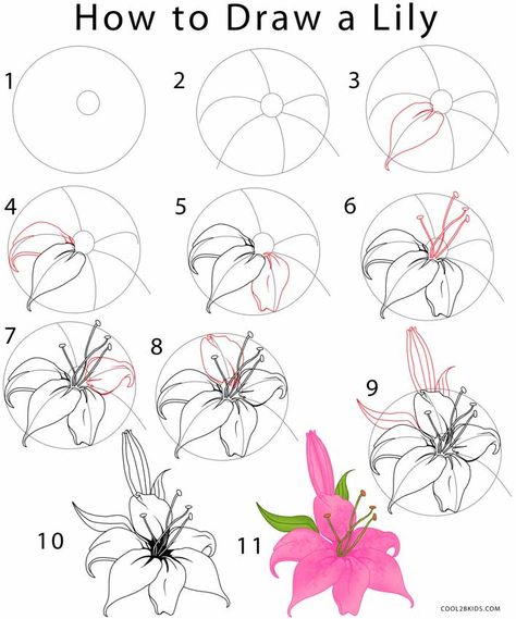 Flower Drawing | Cool2bKids Lily Art Drawing, How To Draw Lilies Step By Step, Lily Flower Drawing Step By Step, Easy Drawing Tutorials Step By Step, Easy Flower Drawings Step By Step, Trin For Trin Tegning, Ako Kresliť, Kraf Kertas, Flower Step By Step