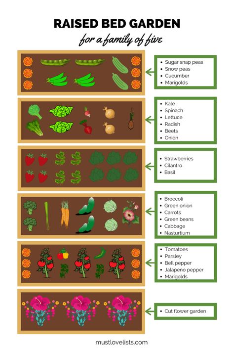 Garden Care Tips, Garden Ideas Backyard, Garden Tricks, Backyard Garden Ideas, Gardening Backyard, Carrots And Green Beans, Backyard Gardens, Kale And Spinach, Snow Peas