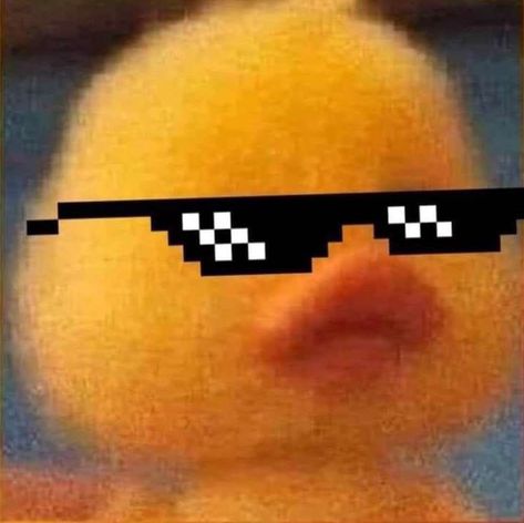 It's a duck, well yk its a BADDIE PFP! Bonito, Funny, Fun Games, Group Chat, Building