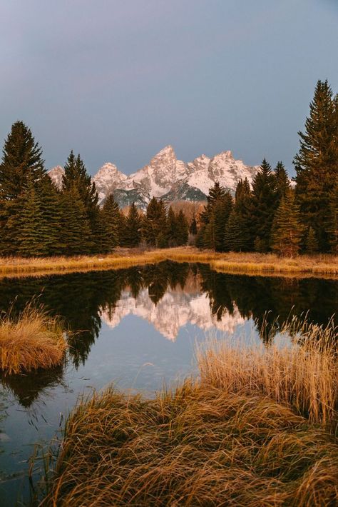 Wyoming Vacation, Rv Trips, Cowboy Stuff, Theme Nature, Awesome Nature, Jackson Hole Wyoming, Tapeta Galaxie, Mountain Bride, Pretty Landscapes