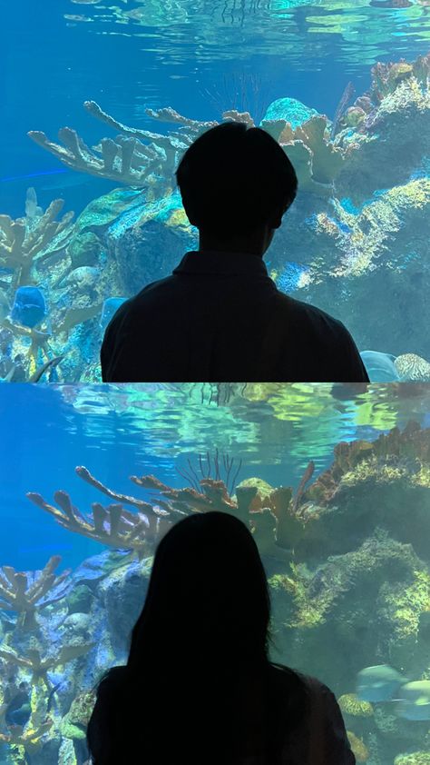 Pp Couple Love, Pp Ig Couple, Aquarium Couple Photos, Couple Pp Aesthetic, Pp Copel, Pp Couple Cool, Pp Coupel, Pp Couple Aesthetic, Cp Pfp