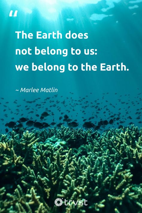 Quotes On Earth Day, Quotes For Earth Day, Slogan About Mother Earth, Quotes On Save Earth, Environmental Quotes Inspirational, Quotes For Environment, Earth Day 2024, Earth Day Quotes Inspirational, Save The Earth Quotes