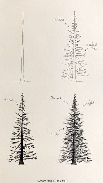 Pine Tree Sketch Simple, Simple Pine Tree Drawing, Easy Tree Sketch, Winter Drawings Pencil Easy, Easy Forest Drawings, Simple Forest Drawing, Forest Drawing Simple, Forest Doodles, Pine Tree Sketch