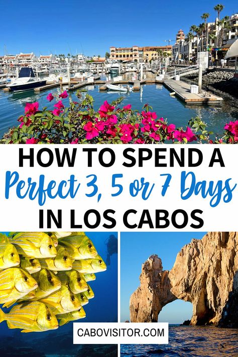 Cabo De La Vela, San Jose Del Cabo, Cabo In November, Things To Do Cabo San Lucas, Cabo San Lucas Itinerary, Cabo San Lucas Marina, Secrets Los Cabos Mexico, Cabo Things To Do, Cabo Birthday Trip