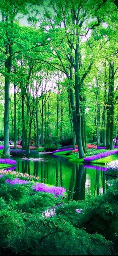 Amsterdam's 10 Best-Kept Secrets Keukenhof Gardens, फोटोग्राफी 101, Matka Natura, Alam Yang Indah, Alam Semula Jadi, Pretty Places, Lush Green, Albania, Places Around The World