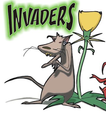 these are invasive species. they come in and take stuff over. Rats, Invasive Species, Cartoon Shows, Habitat, Clip Art, Quick Saves