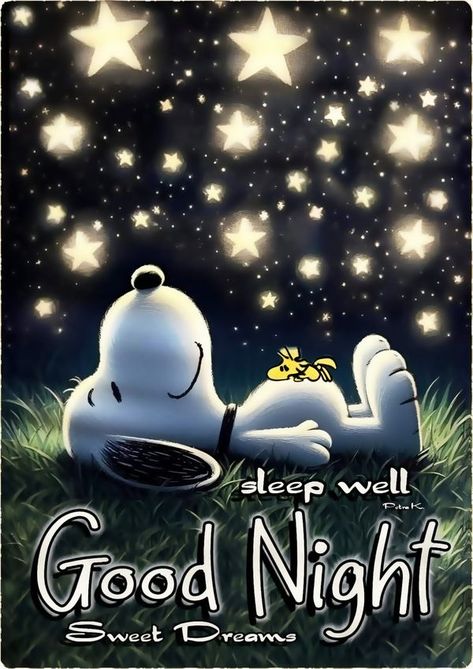 Snoopy is awesome | 🖤🌾👀✨🖤🌾👀✨🌾🖤 | Facebook Snoopy Good Night Sweet Dreams, Good Night Humor, Goodnight Cute Images, Snoopy Good Night, Good Night Snoopy, Funny Good Night Pictures, Good Night Gifs, Night Humor, Weekly Motivation