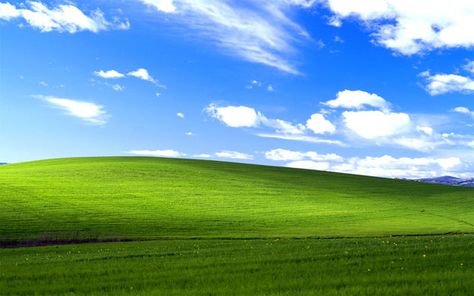 Windows Desktop Wallpaper, Microsoft Wallpaper, Wallpaper Horizontal, Desktop Themes, Desktop Windows, Grass Wallpaper, Windows Wallpaper, Classic Wallpaper, Forest Background