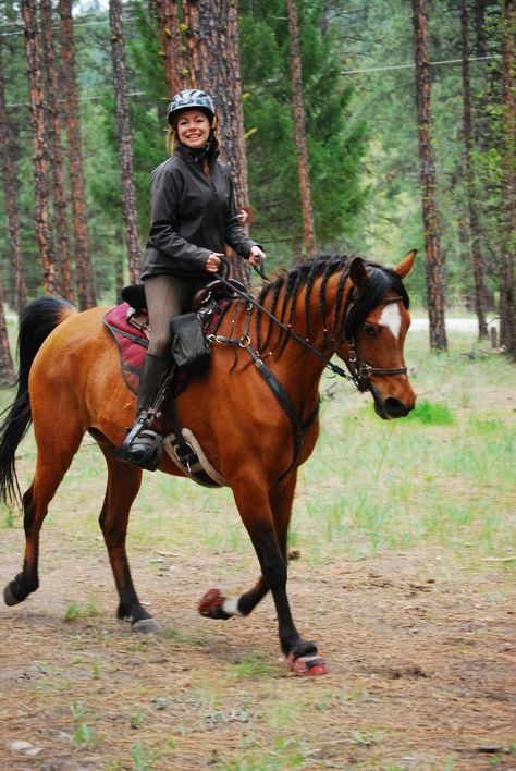 Nicole at the Rock Creek endurance ride with Akhiran. Horse Endurance Riding, Endurance Horse Riding, Endurance Horse, Endurance Riding, Horse Markings, Horse Camp, Rock Creek, Beautiful Horse, Horses And Dogs