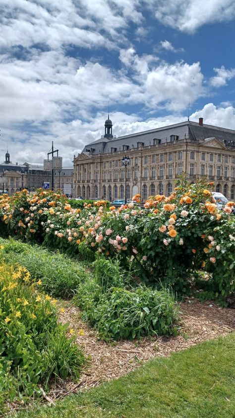 Quais Bordeaux Bordeaux, Bordeaux France Aesthetic, Bordeaux Aesthetic, France Vibes, Paris Life, France Aesthetic, Bordeaux France, Aesthetic Vintage, Travel Bucket List