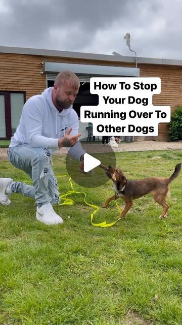 Southend Dog Training on Instagram: "How To Stop Your Dog Running Over To Other Dogs *full video plus more videos of how we took Mila a dog that knows nothing and how we’ve trained her to, ignore other dogs, how we built motivation, how we teach her to switch off, recall, lead walking and much more, available on our website. #dogsofinstagram #dogtraining #onlinetraining #pets" Nature, Recall Training For Dogs, Dog Recall, Dog Running, Dog Commands, Dog Training Videos, Dog Runs, Know Nothing, Dog Health