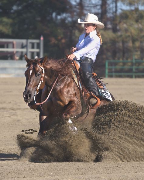 Reining with Ashley Restivo Foto Cowgirl, Rodeo Girls, Rodeo Cowboys, Barrel Racing Horses, Rodeo Horses, Wilde Westen, Barrel Horse, Cowgirl And Horse, Horse Boarding