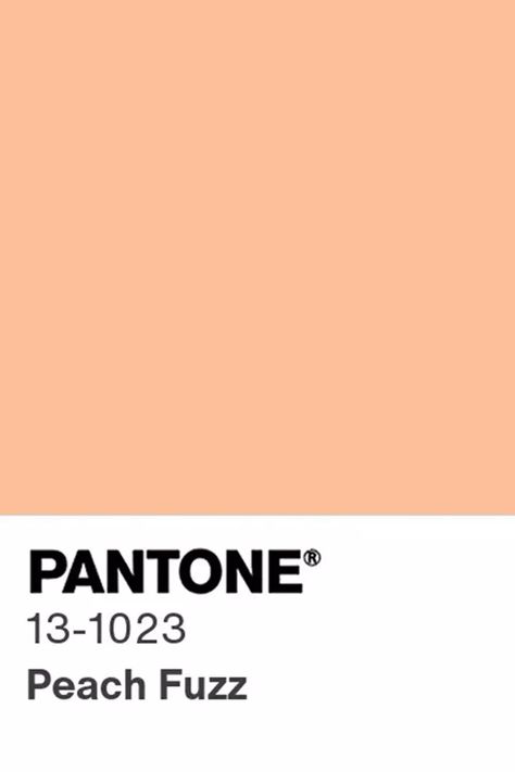 The Pantone 2024 Color of the Year Is Officially Here, and It’s Peachy 2024 Aspirations, Color Pesca, Dutch Boy Paint, 2024 Colors, Pantone 2024, Color Of The Year 2024, Color Durazno, Dark Paint Colors, Trending Paint Colors