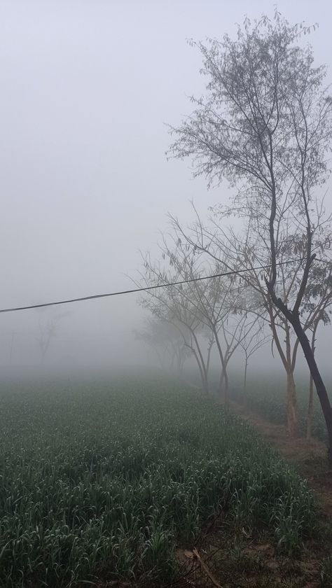 #Village #FoggyDay #Punjab #Winter #GreenFields #Morning Winter Foggy Morning Snap, Village Vibes Snap, Village Morning Snap, Village Morning Photography, Fog Snapchat Story, Winter Morning Snap, Winter Village Aesthetic, Morning Winter Aesthetic, Winter Morning Photography