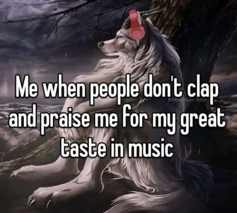 Humour, Me And My Music Taste, My Music Taste Also My Music Taste, Good Music Taste, My Music Taste, Alpha Werewolf, Music Taste, Hashtag Relatable, My Music