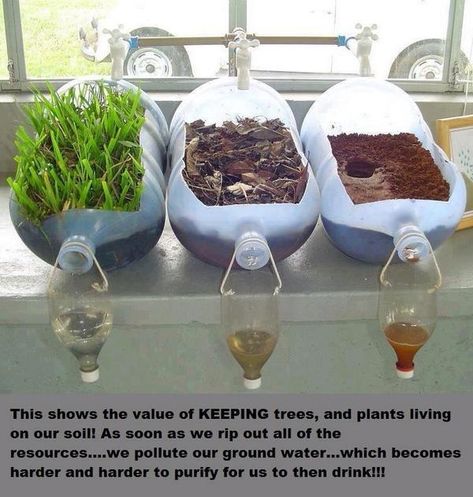 Water Filtration Experiment, Vetenskapliga Experiment, Science Experience, مشروعات العلوم, Kid Science, نباتات منزلية, Fair Projects, Preschool Science, Science Fair Projects