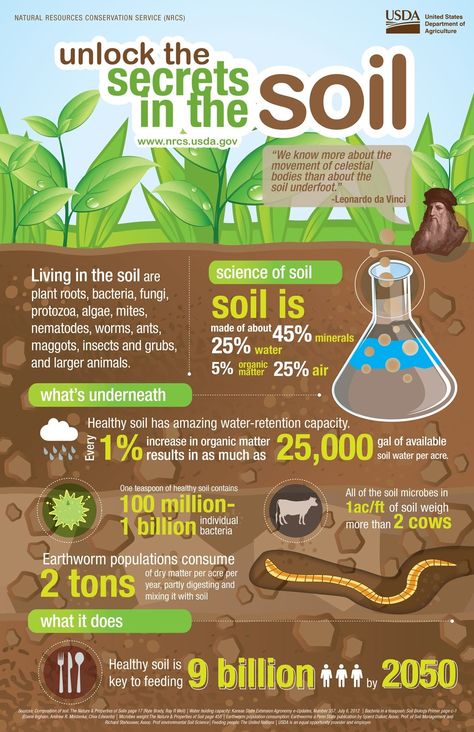 Research Posters, Agriculture Design, Health Infographic, Scientific Poster, Sustainable Food Systems, History Infographic, Diy Garden Trellis, Research Poster, Agriculture Education