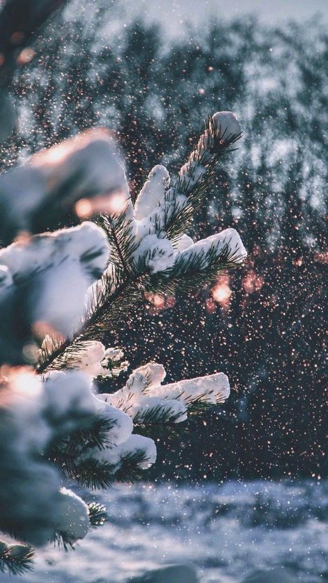 December Wallpaper Aesthetic, Crismas Tree, December Wallpaper, Iphone Wallpaper Winter, Xmas Wallpaper, Christmas Aesthetic Wallpaper, Christmas Phone Wallpaper, Cute Christmas Wallpaper, Winter Background