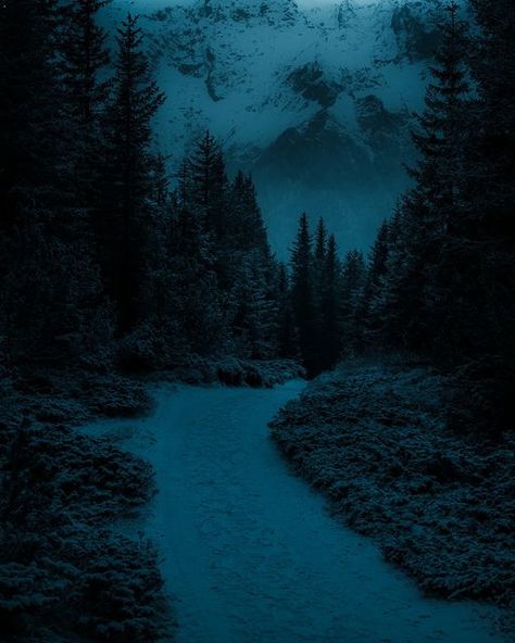 Nature, Dark Snowy Forest Aesthetic, Dark Snowy Mountains, Snowy Background Aesthetic, Snowy Forest Aesthetic, Snowy Mountains Aesthetic, Dark Snowy Forest, Dark Winter Aesthetic, Bestie Book