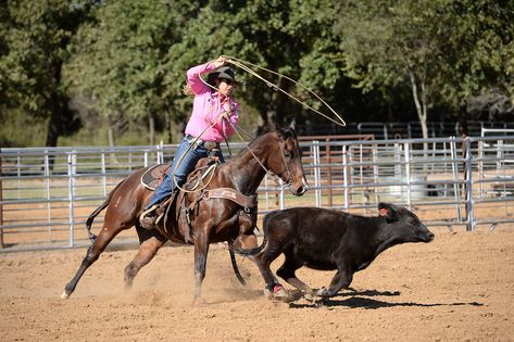 Roping Horses, Breakaway Roping, Horse Projects, Roping Horse, Drawing Horses, Working Cow Horse, Western Horses, Calf Roping, Rodeo Time