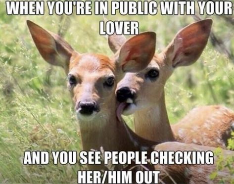 Jealous Girlfriend, Couple Memes, Dnd Funny, Funny Relationship Memes, Flirting Quotes For Her, Monkeys Funny, Flirting Tips For Girls, Flirting Memes, Flirting Humor