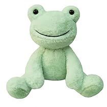 Stuffed Animal Packaging, Weird Things To Buy, Cute Stuffed Animals Aesthetic, Soft Toys Aesthetic, Frog Stuffie, Plushie Animals, Cute Stuffies, Big Plushies, Frog Squishmallow