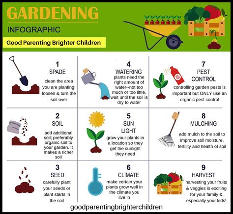 How to Garden With Kids: 10 Simple and Amazing Steps Gardening Infographic, Grandparents Activities, Natural Gardening, Compost Container, Organic Gardening Pest Control, Plant Tips, Garden Site, Grandparenting, Kinds Of Vegetables