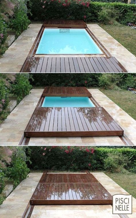 Small Swimming Pools, Small Pool Design, Dogs Small, Small Pools, Swimming Pools Backyard, Small Pool, Design Exterior, Swimming Pool Designs, Small Backyard Pools