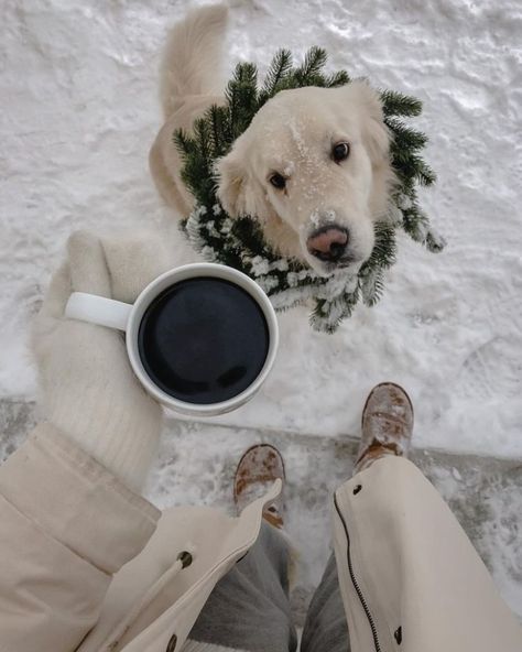 #идеидляфото #собака #dogs #эстетика #aesthetic #coffee #кофе #christmas #xmas #xmasideas Mery Crismas, 사진 촬영 포즈, Winter Inspo, Cosy Christmas, Baby It S Cold Outside, Christmas Inspo, Christmas Feeling, Winter Love, Winter Wonder