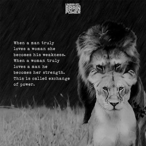 When a man truly loves a woman she becomes his weakness. When a woman truly loves a man he becomes her strength. This is called exchange of power. Loving A Woman Quotes, Strong Man Quotes, Men Love Quotes, Lioness Quotes, Weakness Quotes, Good Man Quotes, Man Quotes, Lion Quotes, Lion Love