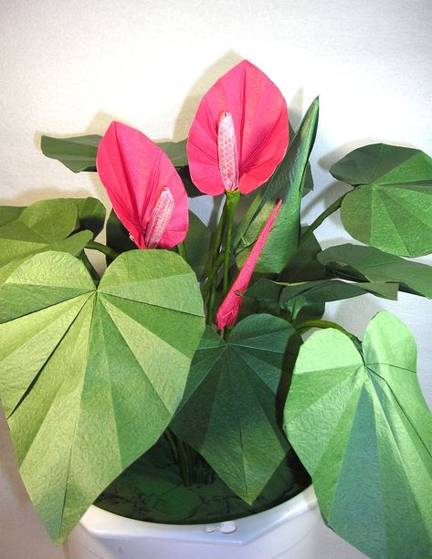 Origami Anthurium Origami Leaves, Halloween Origami, Beautiful Origami, Anthurium Plant, Origami Star Box, Origami Ball, Dollar Bill Origami, Origami Bookmark, Origami For Beginners