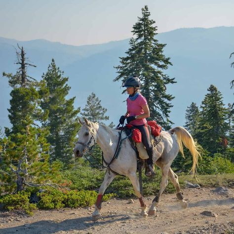 Find out how Claire Godwin, DVM, keeps her 27-year-old endurance horse PL Mercury in elite condition, from joint support to conditioning tactics. Endurance Riding Aesthetic, Horse Endurance Riding, Shagya Arabian, Endurance Horse, Performance Ideas, Endurance Riding, Horse Art Drawing, Horse Magazine, Horse Story