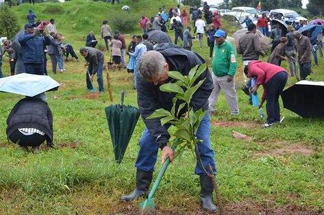 Ethiopia ‘Breaks’ World Record For Tree Planting By Planting 350 Million Trees In 12 Hours | Bored Panda People Planting Trees, Abiy Ahmed, Ethiopia People, Ugly Dog, Modern Farming, Watering Flowers, Technology Posts, Tree Projects, Protect Nature