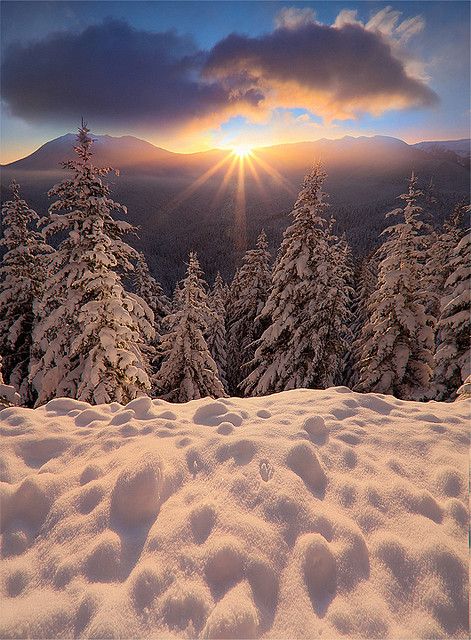 Olympic National Park, Washington ~ Hurricane Ridge Sunrise by kevin mcneal, via Flickr Blizzard Beach, Snow Covered Trees, Winter Magic, Winter Scenery, Olympic National Park, Snow Scenes, Winter Beauty, Winter Wonder, E Card