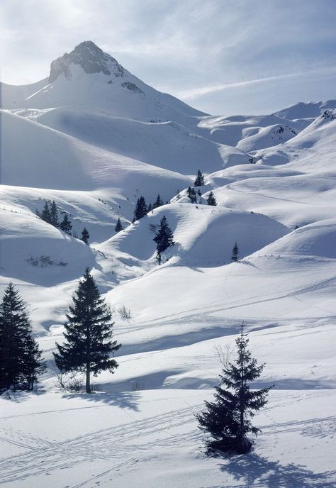 Adelboden, Snow Covered Mountains, Snow Valley, Winter Szenen, Winter Schnee, Wallpaper Bts, Winter Scenery, Places In The World, Winter Beauty