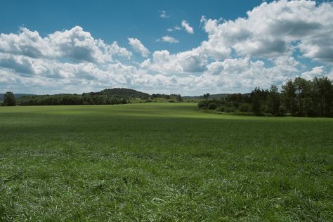 The Peaceful Plains of West Winfield NY [OC] [4896x3264] #nature #beauty Nature, Country Life, Diorama Ideas, Plain Landscape, Plains Landscape, Earth Photo, Earth Photos, Nature Scenery, Landscape Nature